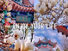 -济南大明湖景区