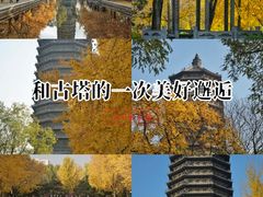 -玲珑塔公园