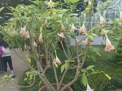 -国家植物园南园