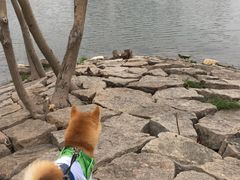 -美兰湖景区