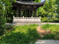 -镇南锅盖面馆(解放路店)