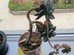 -威高广场