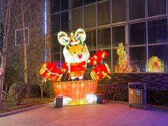 -南宫五洲植物乐园