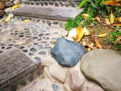 -湖泉半山温泉