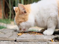 -苏州河梦清园环保主题公园