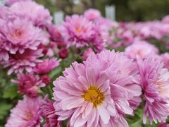 -黑龙江省森林植物园