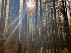 -山王坪喀斯特国家生态公园