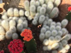 -南通洲际绿博园