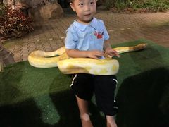 -清迈夜间动物园