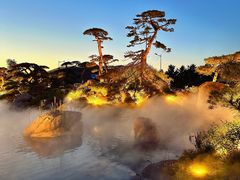 -罗红摄影艺术馆