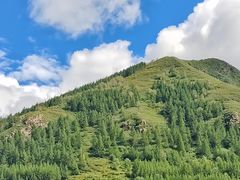 -草原天路(张北县)