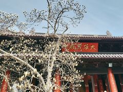-灵谷景区