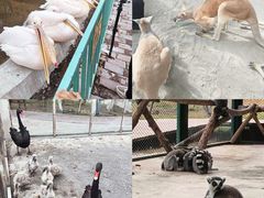 -水上乐园·欢乐世界