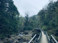 -龙苍沟森林公园