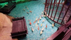 -酷嗒动物文化乐园(cutezoo西溪乐天城店)