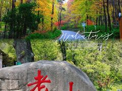 -老山国家森林公园