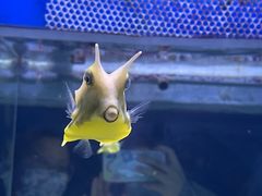 -烟台海昌鲸鲨海洋公园
