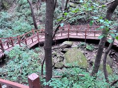 -大岭沟猕猴桃谷风景区