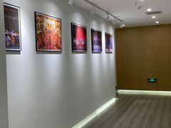 -中央芭蕾舞团·中芭艺蕾(酒仙桥明星校区)