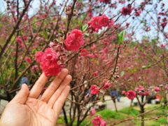 -白水带风景区体育公园