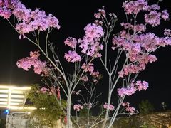 -水云间·园林餐厅(大龙店)