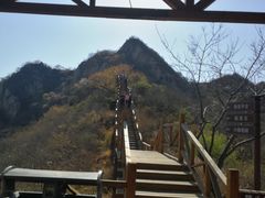 -大岭沟猕猴桃谷风景区