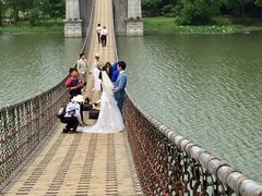 -东湖落雁景区