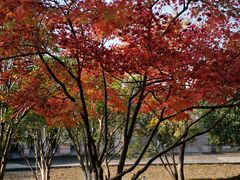 景点-白塘生态植物园