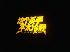 -华美国际影城(旧宫永辉店)