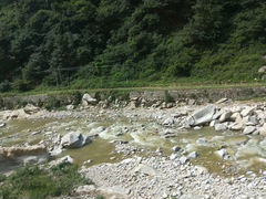 -王顺山国家森林公园