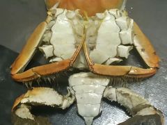 -海大大蒸汽海鲜餐厅·粤菜·特色小炒(欢乐颂店)