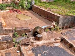 -比如骷髅墙景区