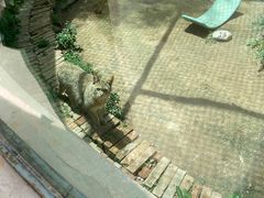 -青藏高原野生动物园