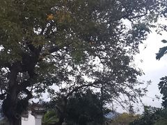 -和顺古镇