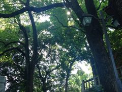 -乌山风景区
