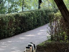 -青藏高原野生动物园