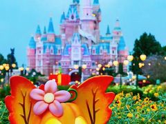 -上海迪士尼度假区