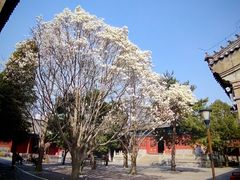 -大钟寺古钟博物馆