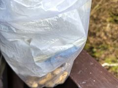 -汤旺河林海奇石景区