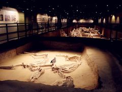 -洛阳周王城天子驾六博物馆