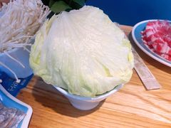 -青瓷火锅料理(西单大悦城店)