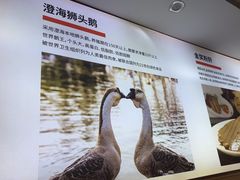 -陆记鹅庄·潮汕菜·狮头鹅(大仟里店)