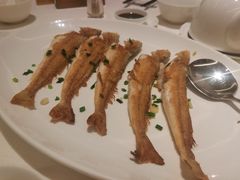 -金悦轩海鲜城(渔人码头店)