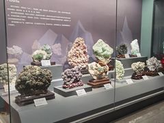 -湖南省地质博物馆