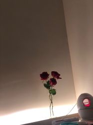 点击看大图 -橘西产后康复中心
