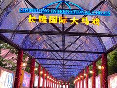 -广州长隆国际大马戏