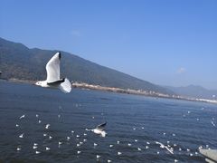-海埂大坝
