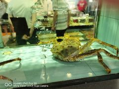 水产区-越百海海鲜蒸锅(乐山店)