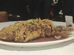 -金春禧(世茂国际广场店)