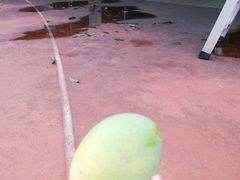 -杰锐体育·美华中学运动中心